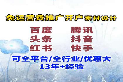 百度广告投放策略与效果评估案例